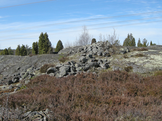 SkogsTibble fornborg